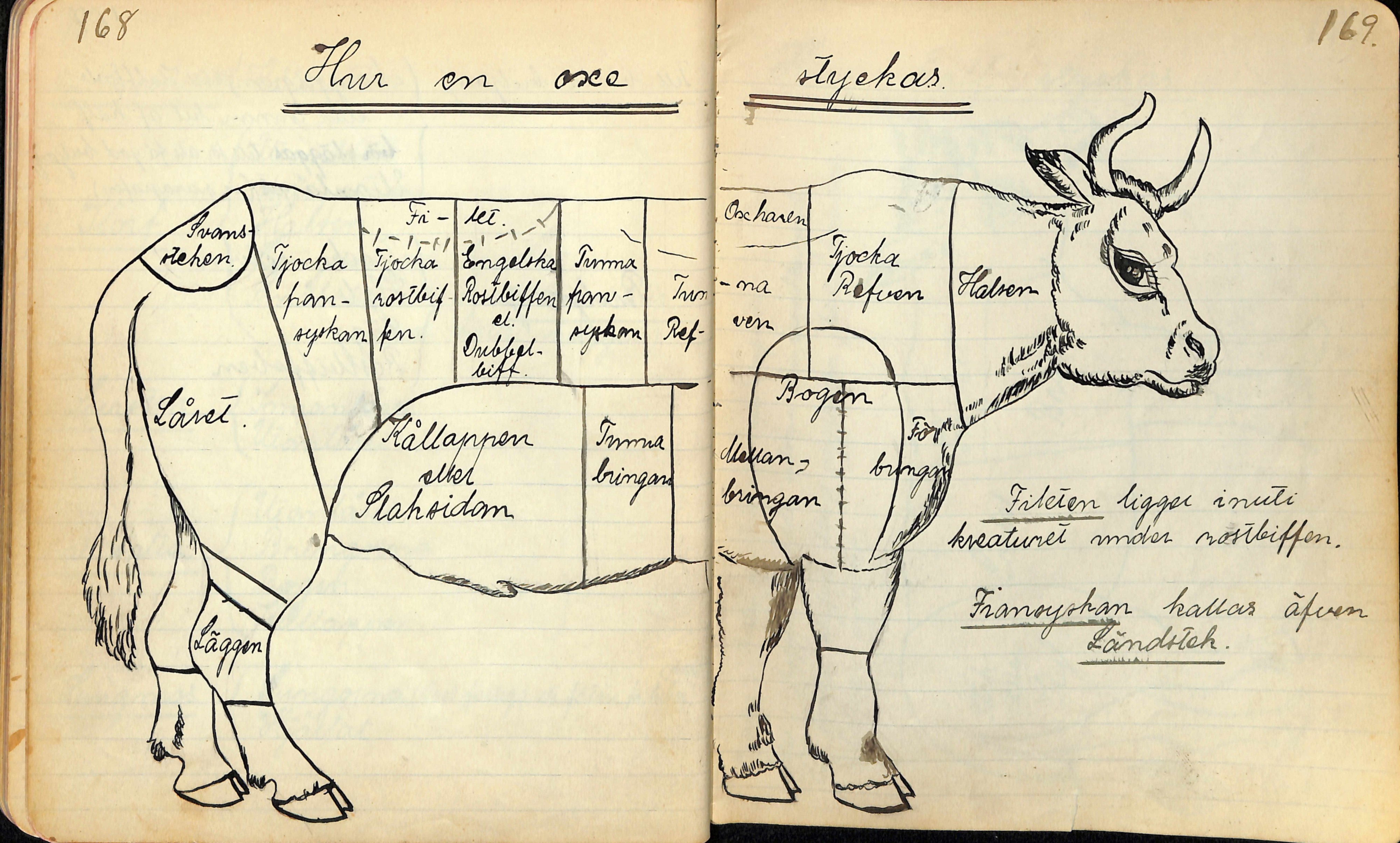 Emys kokbok 1902
